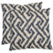 teddy throw pillow